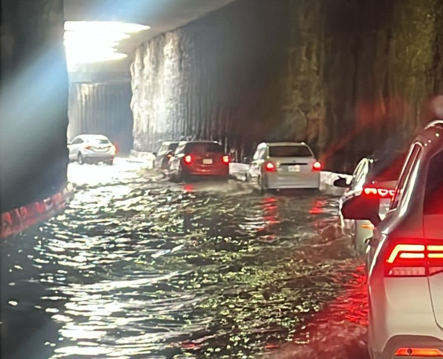 Tormenta deja inundaciones y árboles caídos en Guadalajara
