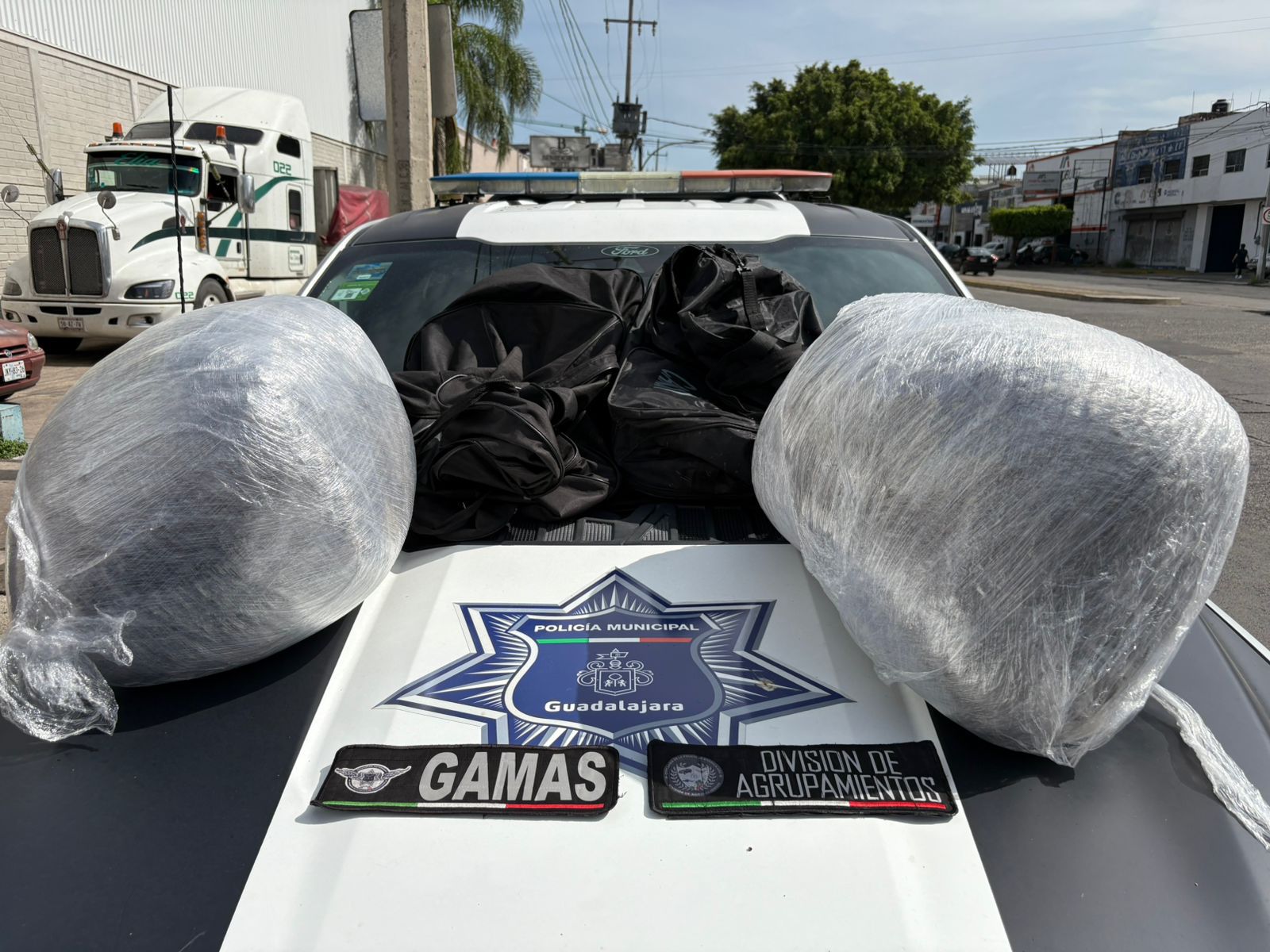 Detienen a presunto narcomenudista con 28 kilos de marihuana en Guadalajara