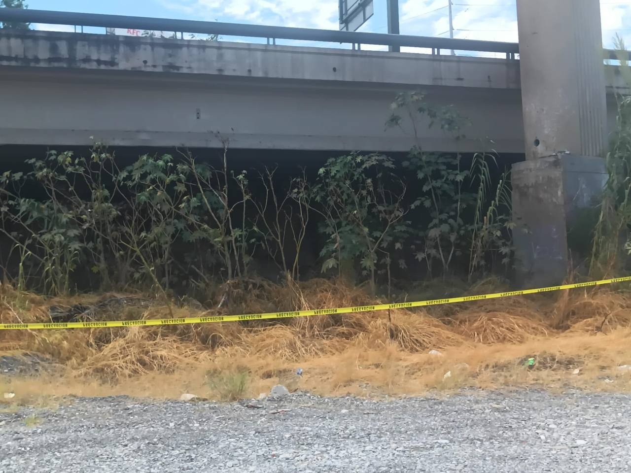División Ambiental y Fuerza Civil arrestan a responsable de incendio en Guadalupe