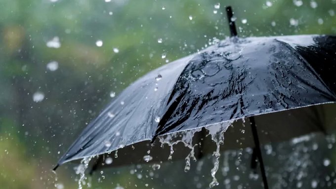Se forma la tormenta tropical Fernand en el Atlántico; sin amenazas a tierra firme