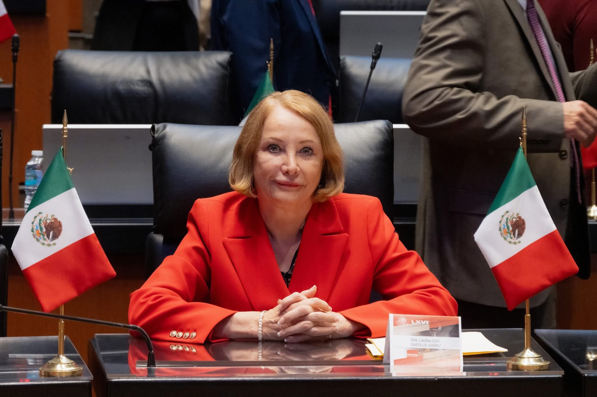 Laura Itzel Castillo será la nueva presidenta del Senado de México