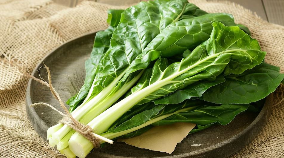 Acelga nueva aliada para una alimentación saludable