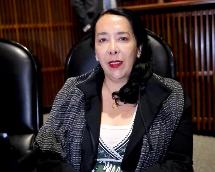 Diputada Hilda Araceli Brown niega que sus cuentas hayan sido congeladas