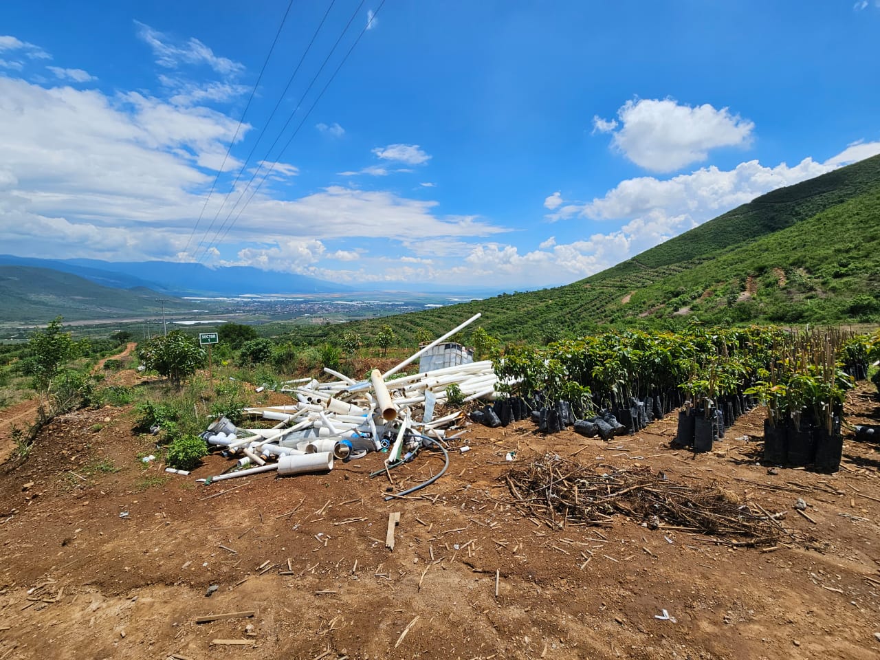 Vinculan a proceso a personas por cambio de uso de suelo forestal en Sayula, Jalisco