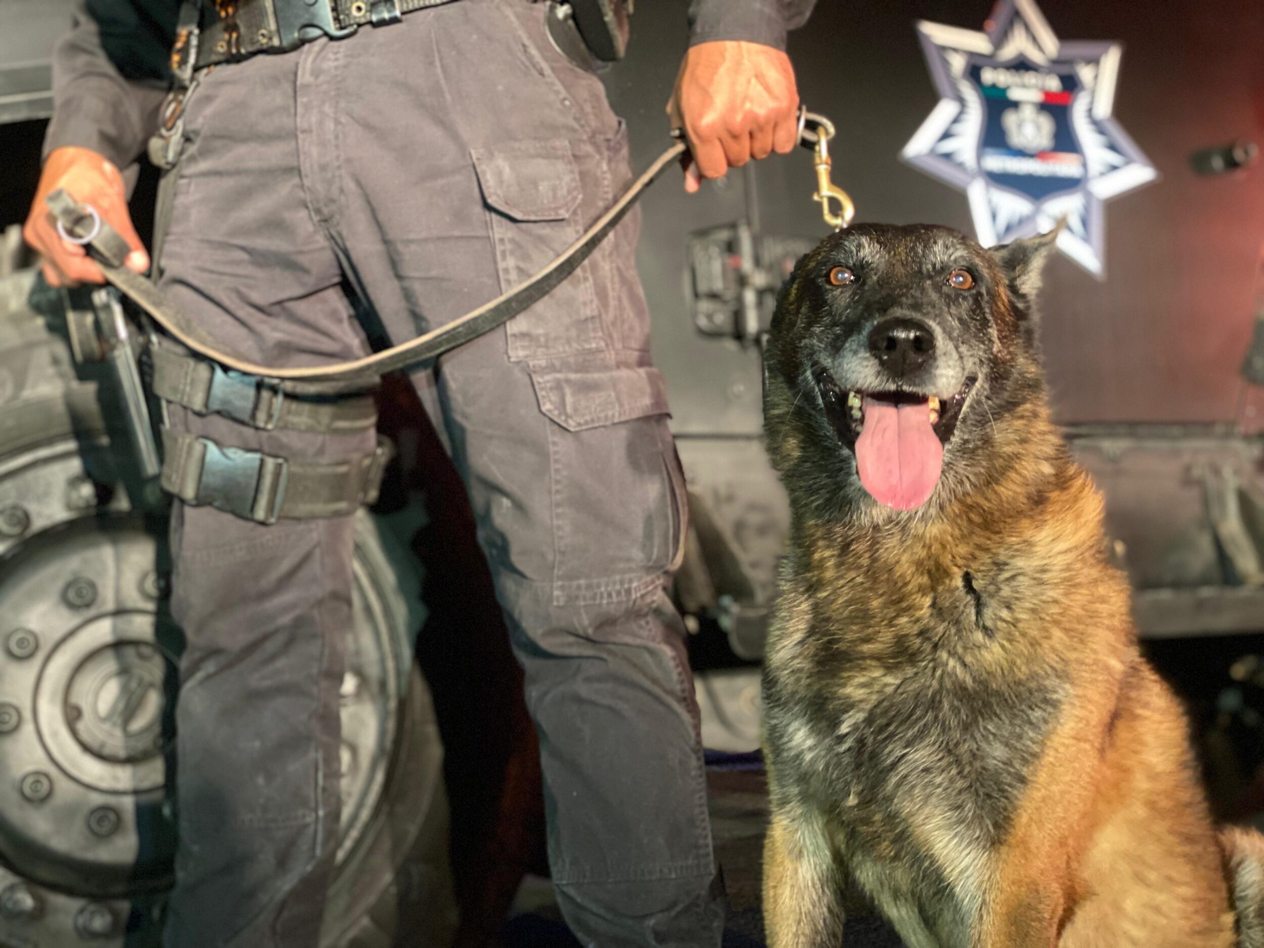 Aseguran en Guadalajara 25 kilos de droga oculta en cajas de jabón