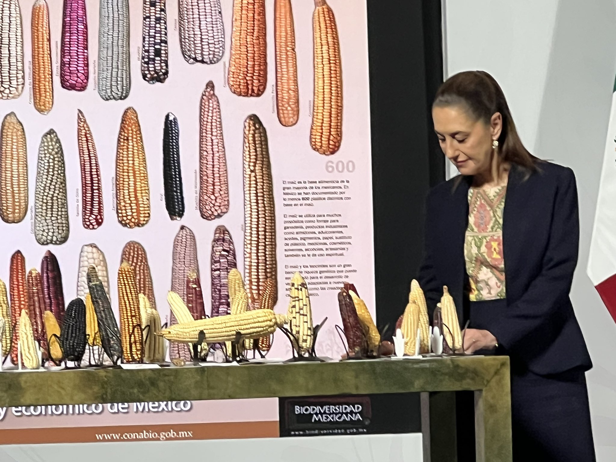 Claudia Sheinbaum anuncia el programa “Sin Maíz No Hay País” para fortalecer la producción de maíz nativo