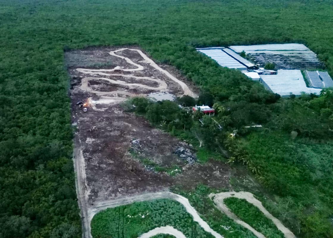 Clausuran pista de motocross ilegal en zona forestal de Chicxulub Pueblo