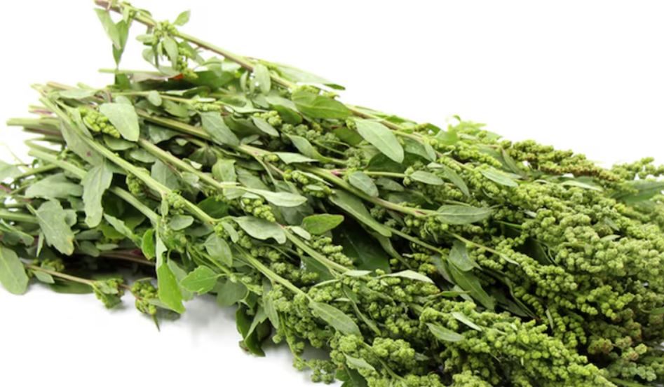 El huauzontle, aliado natural contra el hígado graso