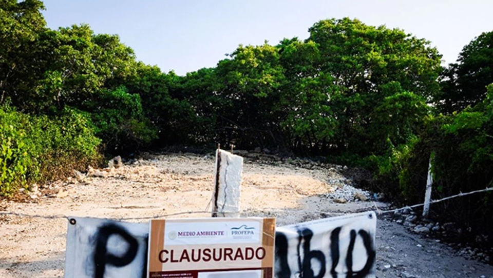 Profepa clausura dos predios en Yucatán