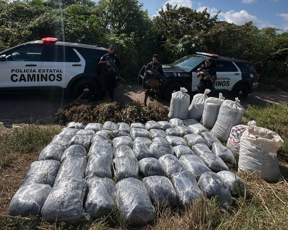 Encuentran casi 500 kilos de presunta marihuana abandonados en la carretera San Marcos – Amatlán de Cañas