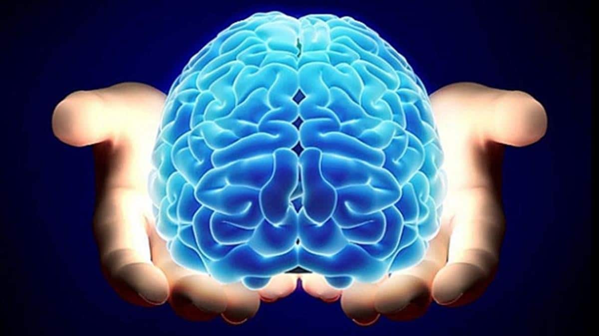 El cerebro humano no está diseñado para permanecer despierto: Harvard