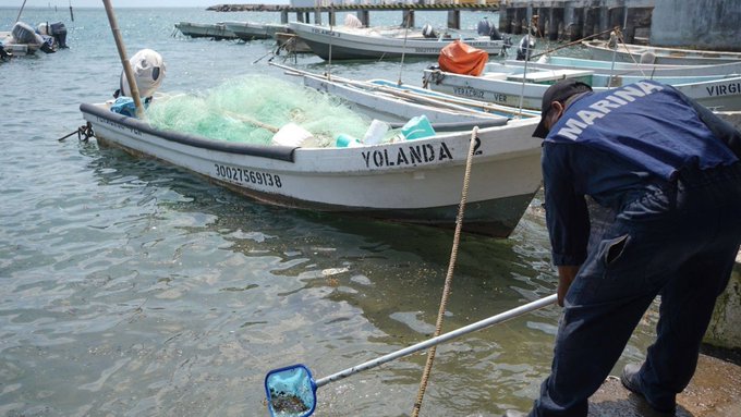 Derrame en el Golfo: autoridades descartan daño severo