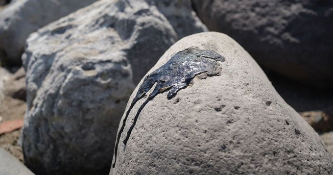 Derrame en el Golfo: autoridades descartan daño severo