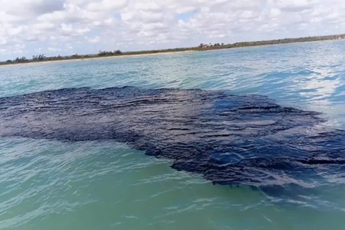 Derrame en el Golfo: Marina retira 740 toneladas de crudo 