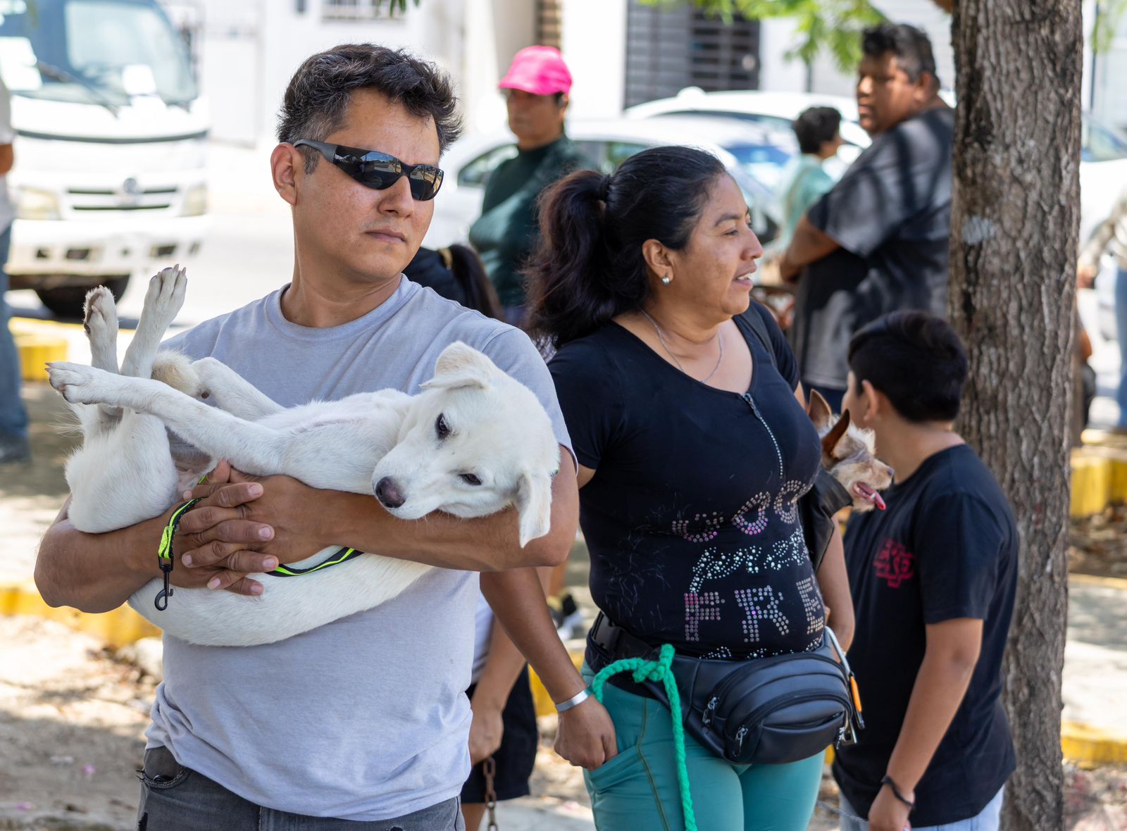 Refuerza Estefanía Mercado el bienestar animal con jornada intensiva de vacunación antirrábica