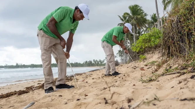 Reconocen en República Dominicana, el trabajo de preservación hacia la tortuga marina que se hace en el Caribe Mexicano