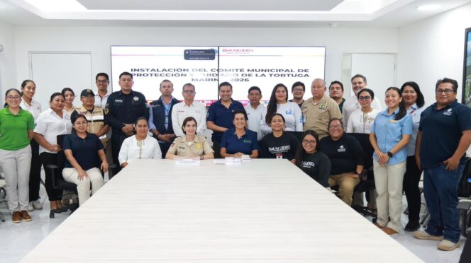 Gobierno de Isla Mujeres instala Comité para proteger a la tortuga marina en la temporada 2026
