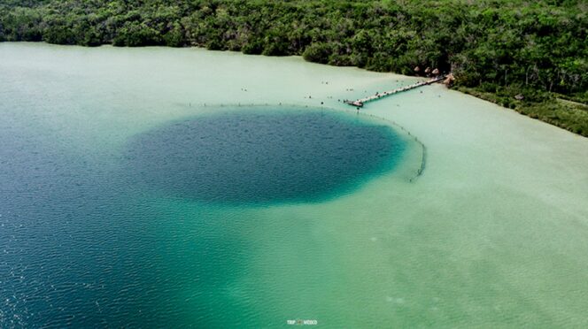 Laguna Kaan Luum en Tulum: el paraíso natural que debes visitar
