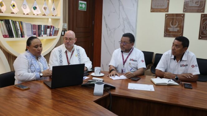 Logra SEGOB acuerdos con representantes de la División Peninsular de la CFE para garantizar el suministro de energía eléctrica a las y los usuarios