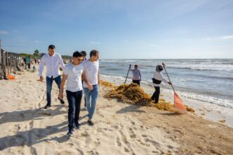 Tulum combate el sargazo con éxito
