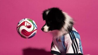 Lanza Adidas camisetas mundialistas… para mascotas