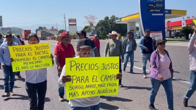 Campo en Guanajuato denuncia corrupción y altos costos en transporte
