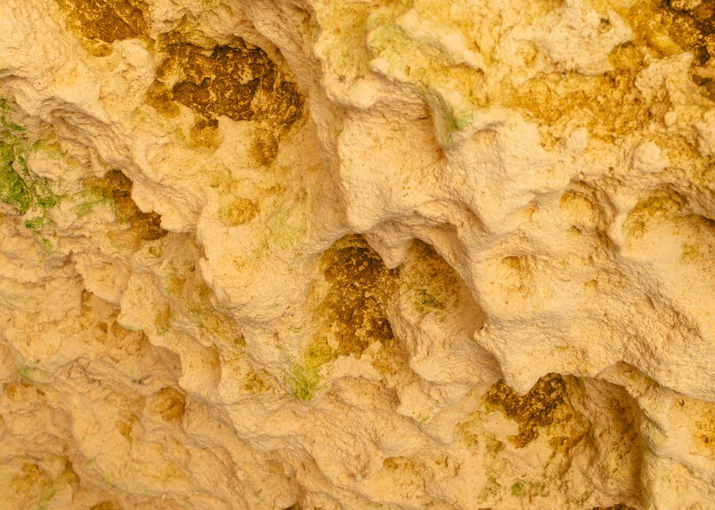 Cenote Puerta al Cielo en Tulum: el rincón místico que debes visitar en la selva maya