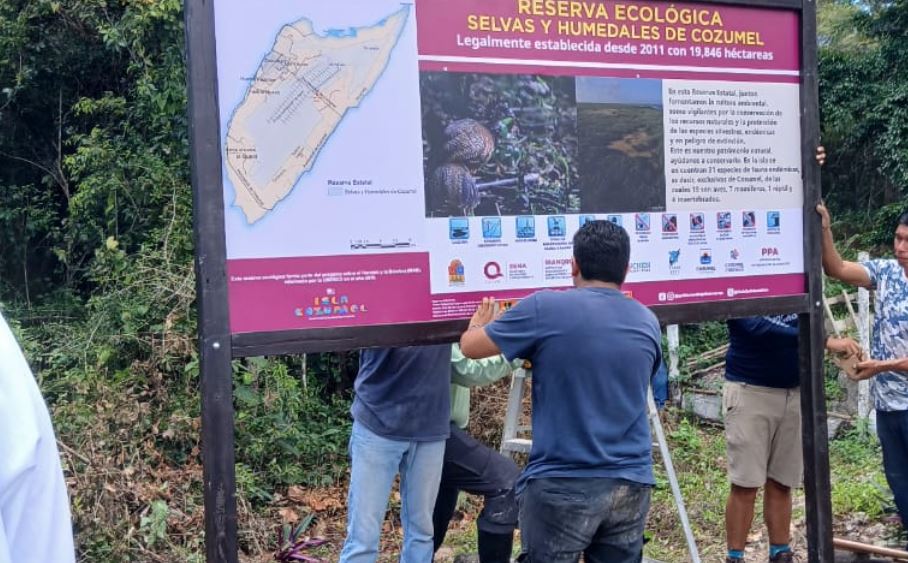 Chacón fortalece la protección de la Reserva Estatal de Selvas y Humedales Isla Cozumel