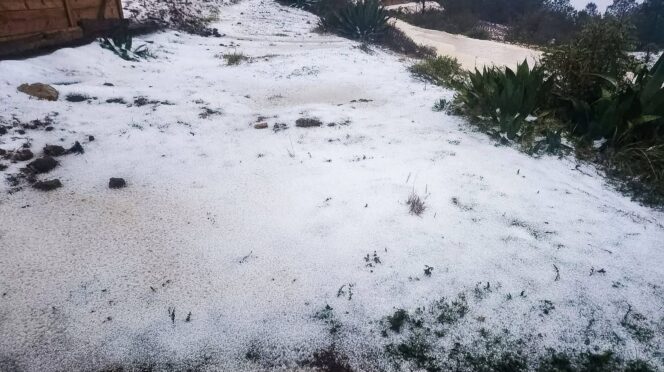 Granizada en Oaxaca cubre de blanco comunidades