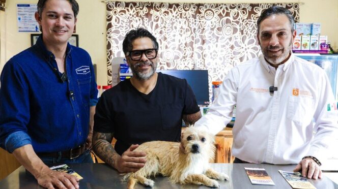 Campaña contra gusano barrenador en mascotas