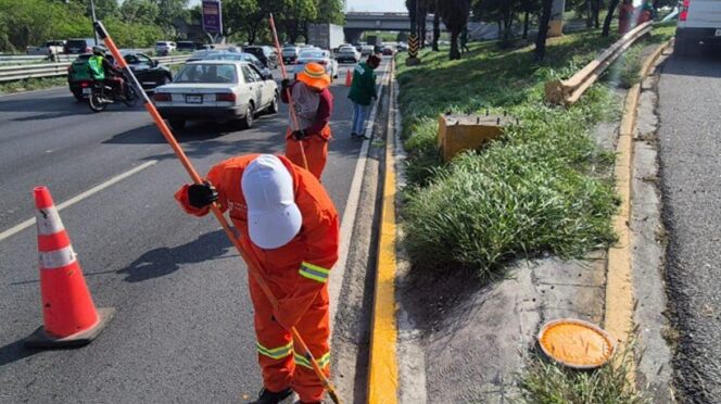 Mejora de imagen urbana avanza rumbo al Mundial