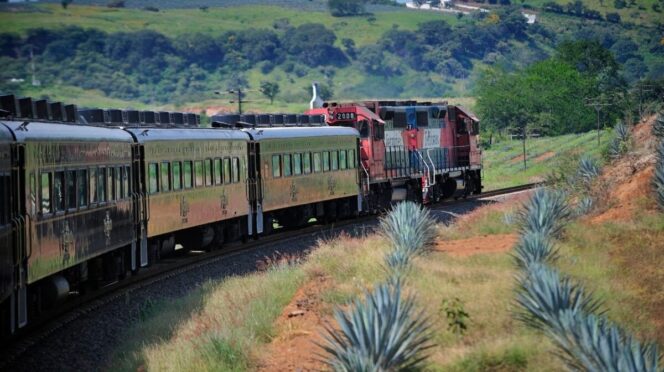 Ruta del Tequila impulsa economía a 20 años de su creación