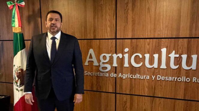 Reabre SADER ventanilla para pago a productores de maíz en Sinaloa, anuncia Ismael Bello Esquivel