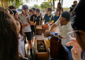 Arranca en Tulum el “Festival de la Abeja” para promover su protección y consumo de miel