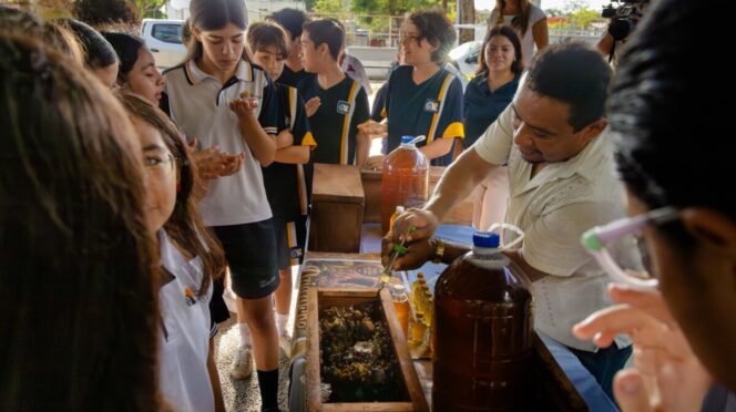Arranca en Tulum el “Festival de la Abeja” para promover su protección y consumo de miel