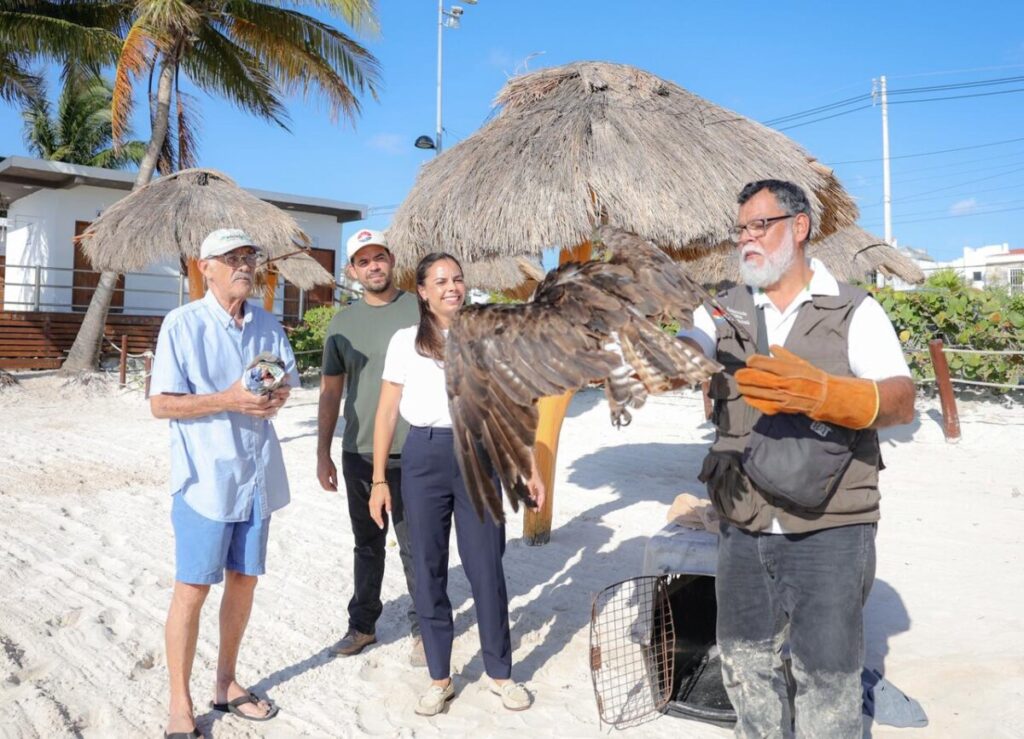 Promueve Ana Paty Peralta Atención Permanente a Fauna Silvestre
