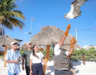 Promueve Ana Paty Peralta Atención Permanente a Fauna Silvestre