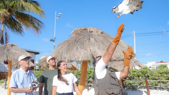 Promueve Ana Paty Peralta Atención Permanente a Fauna Silvestre