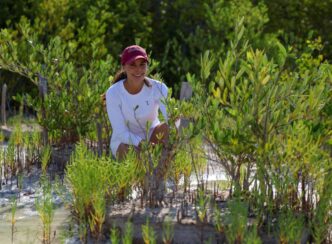 Une esfuerzos Ana Paty Peralta para conservación y protección de Manglares en Laguna Nichupté