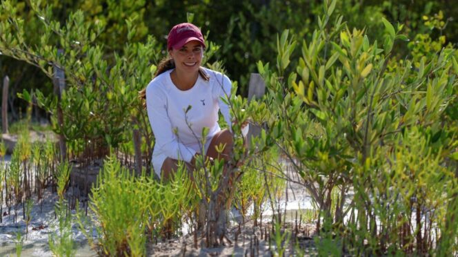 Une esfuerzos Ana Paty Peralta para conservación y protección de Manglares en Laguna Nichupté