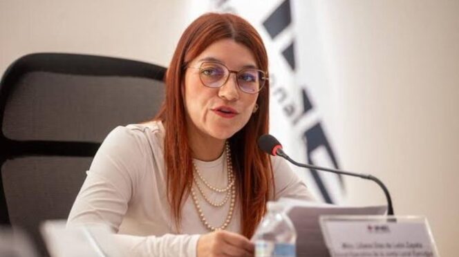 Relevo en el  INE: nombran a Liliana Díaz en dirección nacional
