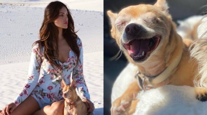 Eiza González llora el fallecimiento de su perrita “Pasita”