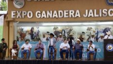Impulsan la ovinocultura en Jalisco