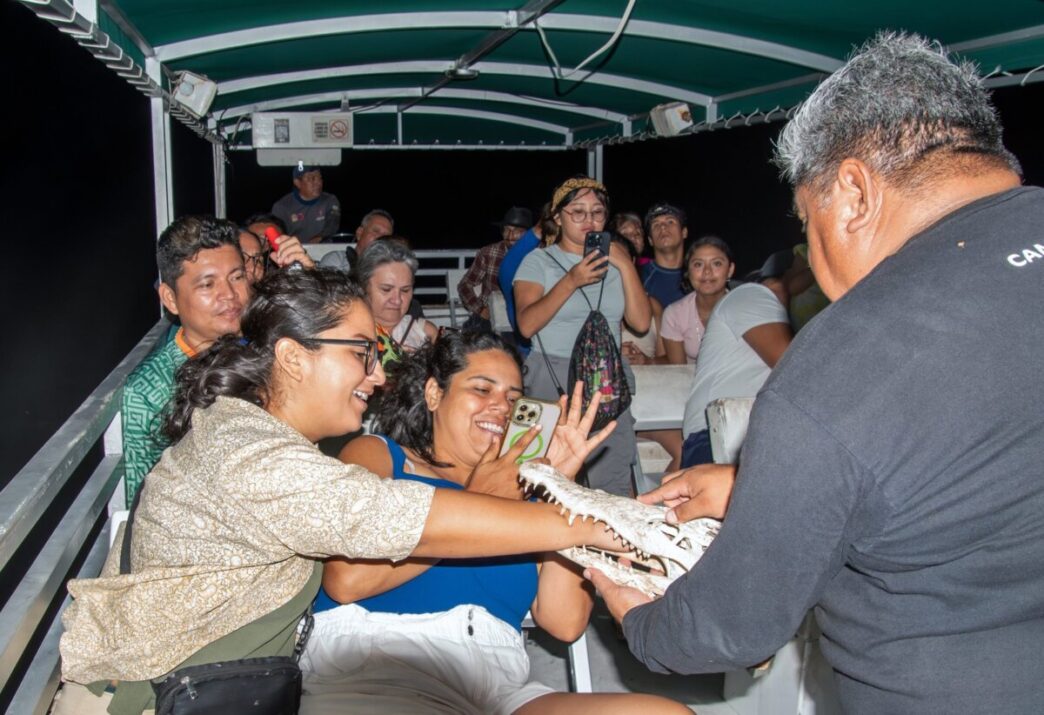 Familias descubren el fascinante mundo nocturno de los cocodrilos en Punta Sur