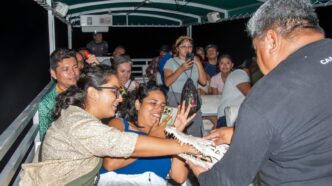Familias descubren el fascinante mundo nocturno de los cocodrilos en Punta Sur