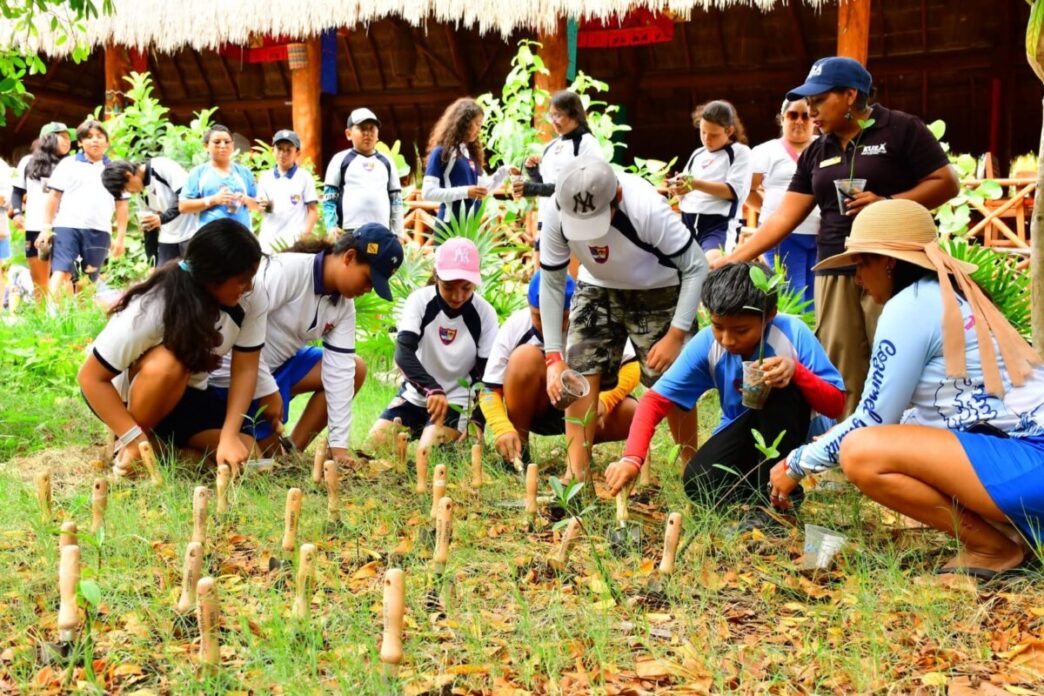 Impulsan conservación ambiental en el Caribe Mexicano