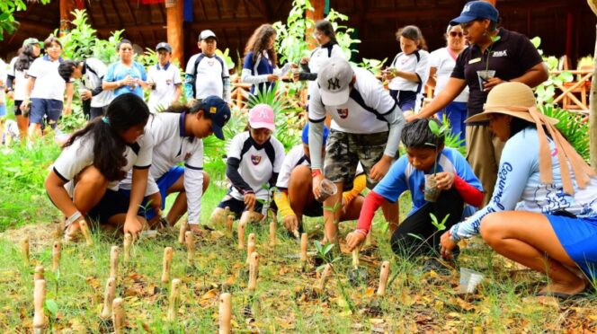 Impulsan conservación ambiental en el Caribe Mexicano