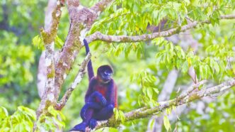 Costa Rica convierte la sostenibilidad en su mayor ventaja turística