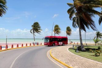 Unidades Taruk iniciaron hoy en Chetumal su primera semana de pruebas sin pasajeros