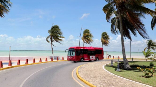 Unidades Taruk iniciaron hoy en Chetumal su primera semana de pruebas sin pasajeros